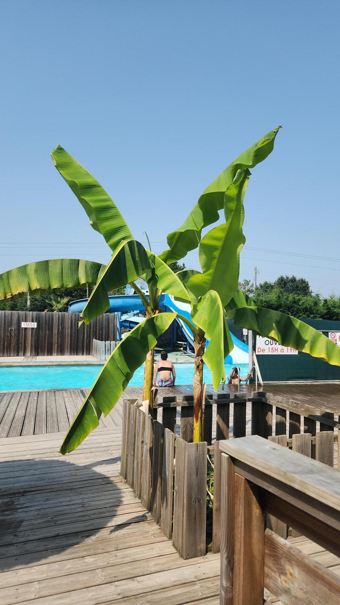Mimizan-Plage Mobil Home 6 Personnes Foret Des Landes מראה חיצוני תמונה